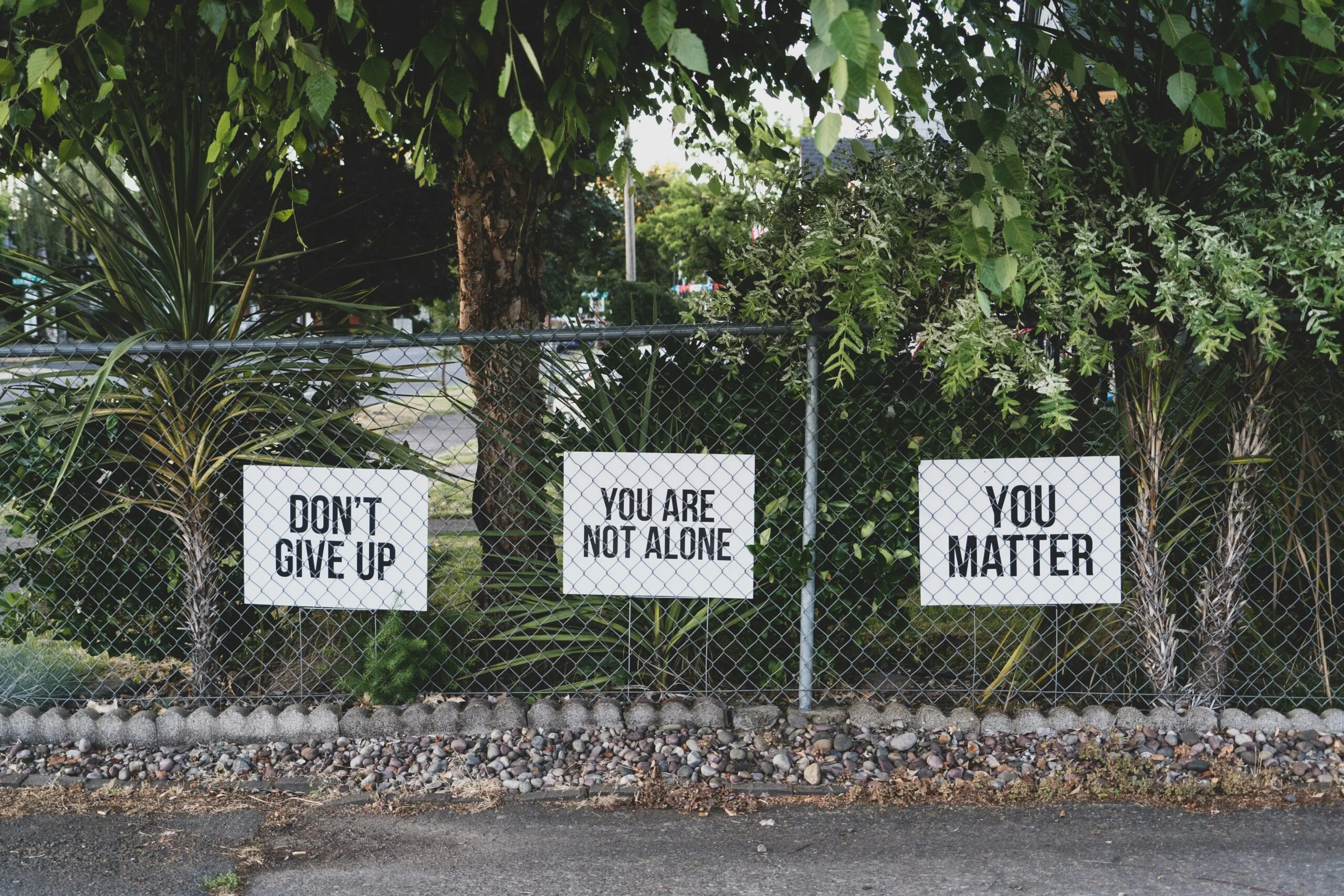 The Mental Health Benefits and Their Profound Effects on Human Life